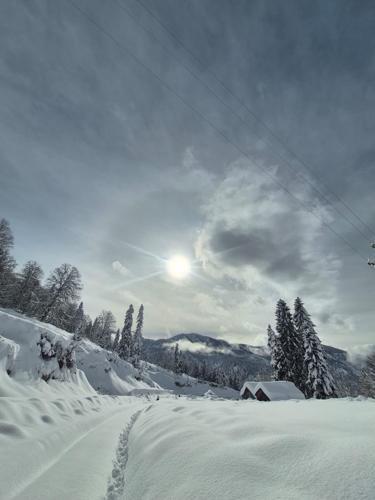 Artvinde 203 köy yolu kardan kapandı