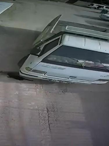 Kamyonetiyle kediyi ezen sürücüye 1 ay hayvan barınağında çalışma cezası