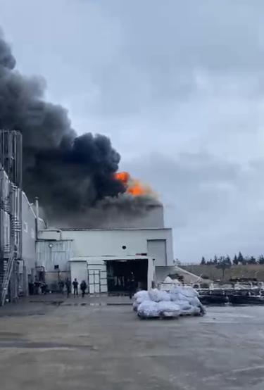 Edirnede fabrika yangını