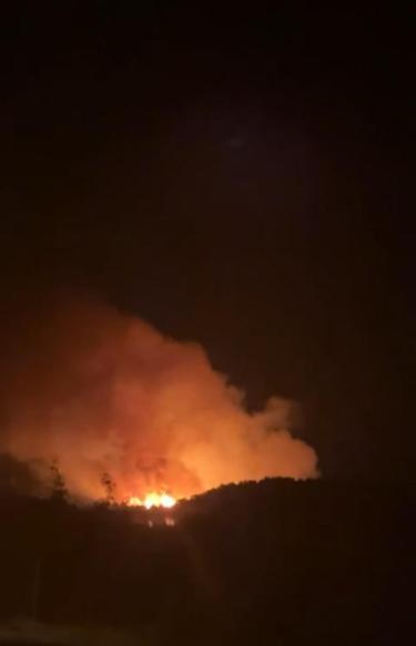 Çanakkale’de orman yangını kontrol altında