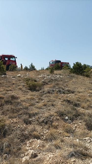 Anız yangınında alevler ormana sıçradı