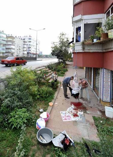Sokakta kurban kesip, atıklarını gömenlere 29 bin 529 lira ceza