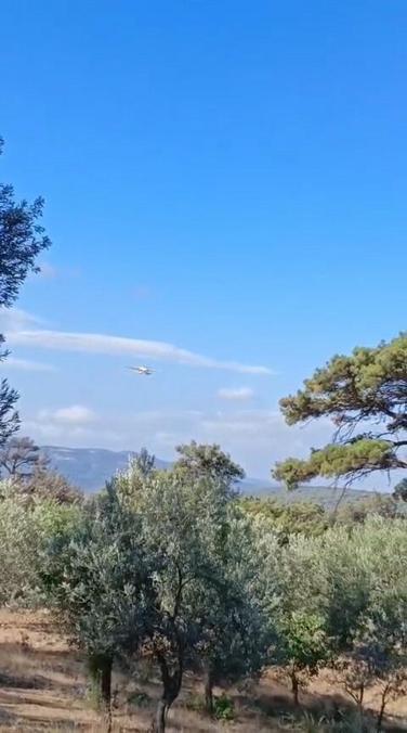 Balıkesirdeki orman yangını 24 saatte kontrol altına alındı