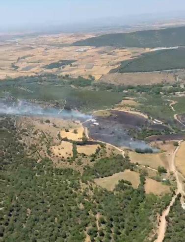 Balıkesirde orman yangını