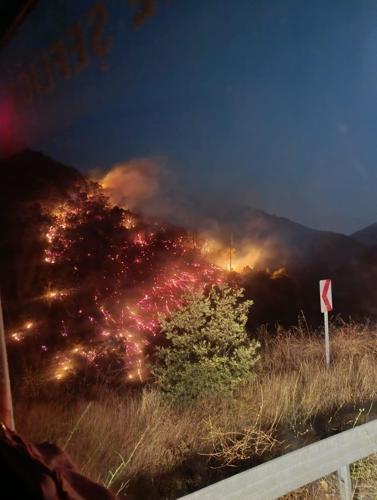 Nazillide orman yangını büyümeden kontrol altına alındı