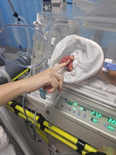 Özlem organlarıyla 6 hastaya umut oldu; geride bebeğinin elini tuttuğu fotoğraf kaldı