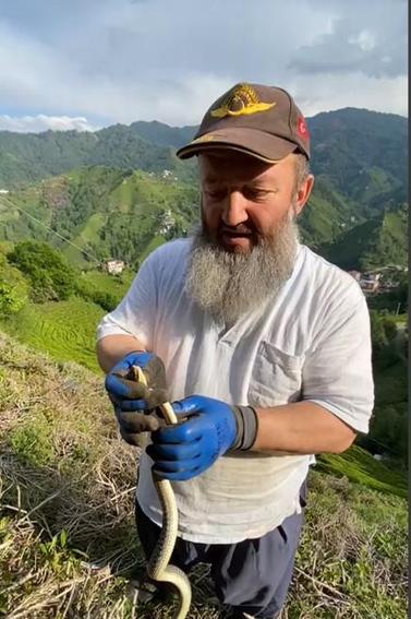 Bahçede yakaladığı yılanı boynuna doladı