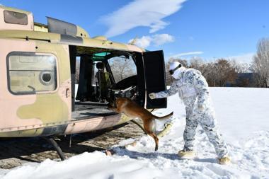 Mehmetçikten derin karda köpekli arama eğitimi