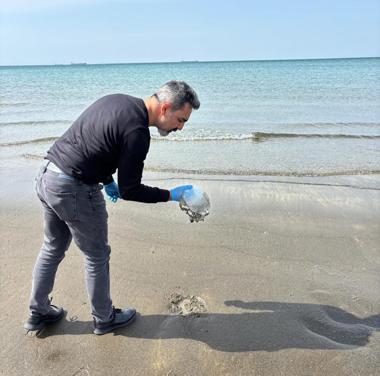 Hatayda sahilde denizanası yoğunluğu