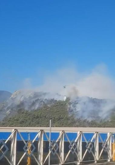 Bursa’da orman yangını