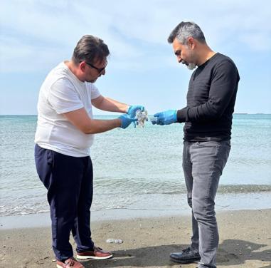 Hatayda sahilde denizanası yoğunluğu