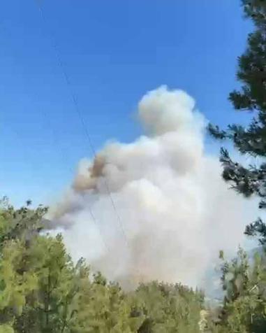 Adanada çıkan orman yangını kontrol altında