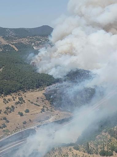 İzmirde orman yangını, 2 mahalle boşaltıldı