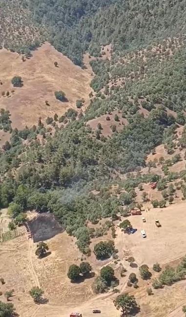 Bursada orman yangını