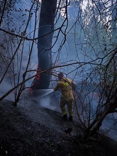 Boluda 8,5 saatte kontrol altına alınan orman yangınında soğutma çalışmaları sürüyor