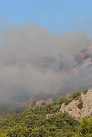 Muğla’da orman yangını kontrol altında