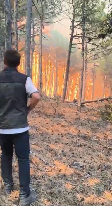 Şube müdürünün, alevlerin arasında kalan orman bölge müdürü ve ekibini kurtarma çabası kamerada