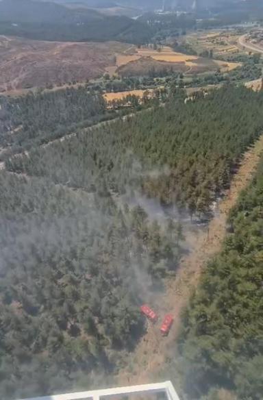 Bursada orman yangını
