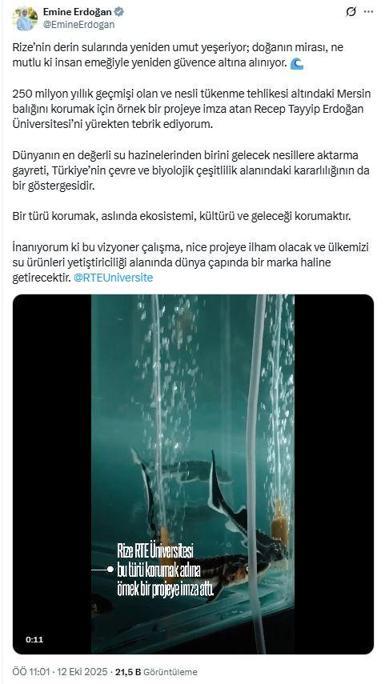 Emine Erdoğandan, mersin balığını koruma projesine ilişkin paylaşım