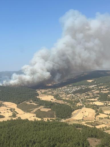 Çanakkalede orman yangını kontrol altında