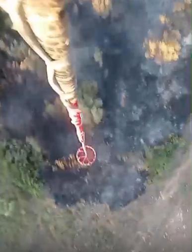 İzmir Bornovadaki orman yangını kontrol altında