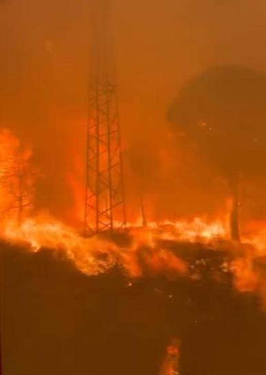 Çanakkaledeki orman yangını ikinci gününde kontrol altına alındı