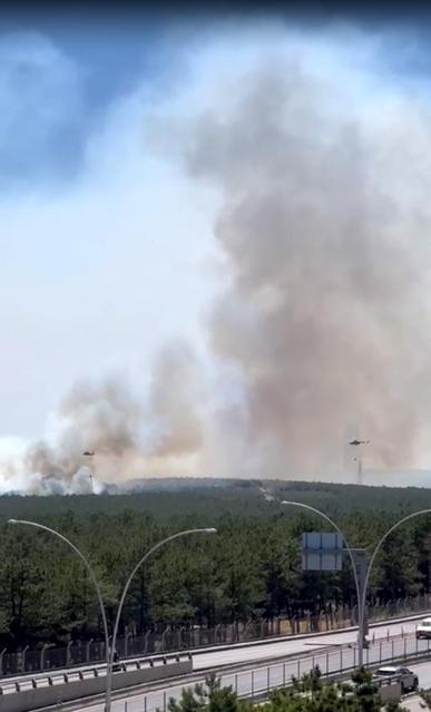 Ankarada Eymir Gölü çevresindeki ormanda çıkan yangın kontrol altında
