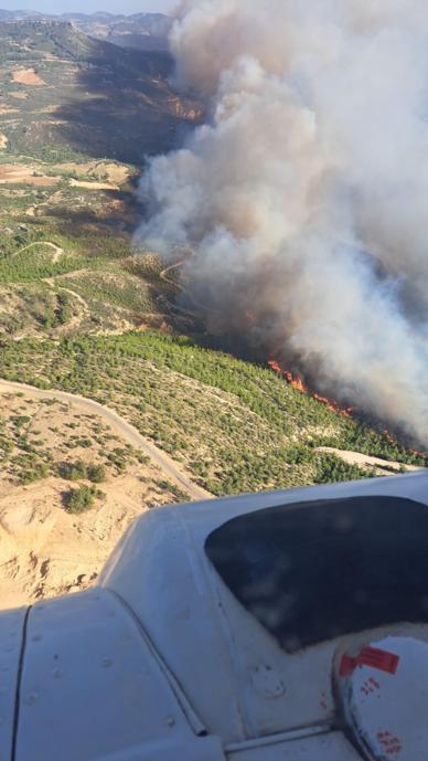 Mersinde orman yangını