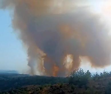 Adana’da orman yangını kontrol altında