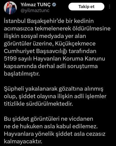Başakşehirde kediyi işkence ederek öldüren şüpheli tutuklandı