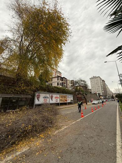 Samsunda fırtına; ağaçlar devrildi