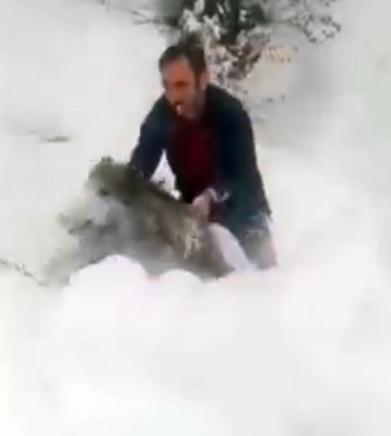 Yolda önüne çıkan yaban domuzunu elleriyle yakalayan sürücü: Kimse denemesin