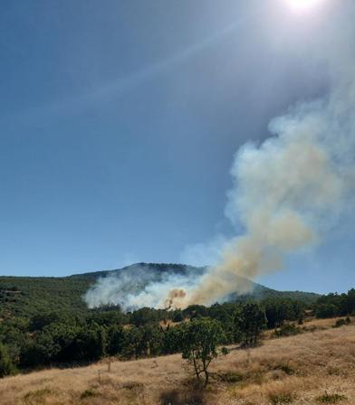 Eskişehir’de orman yangını