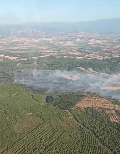 Çanakkaledeki orman yangınında 8 hektar alan zarar gördü