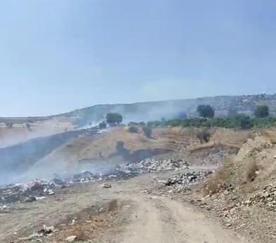 Diyarbakırın 2 ilçesinde 200 dönüm ekili buğday ve üzüm bağı yandı