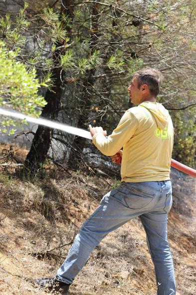 Sakaryada çıkıp Bilecike sıçrayan orman yangını 2nci gününde