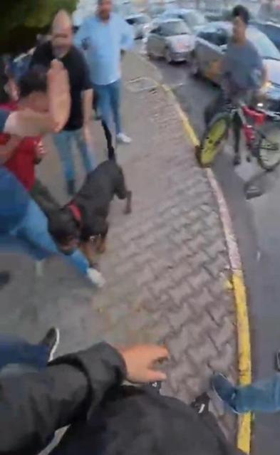 Ağızlıksız dolaştırılan köpek 2 kişiyi yaraladı; o anlar kask kamerasında
