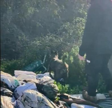 Kocaelinde kayıp olarak aranan iş insanının öldürülüp ormana gömüldüğü ortaya çıktı