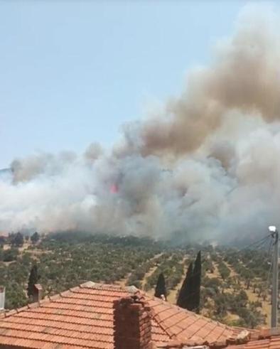 İzmirde orman yangını; 4 gözaltı