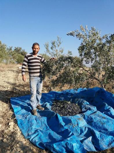 Mersinde tarım işçilerini taşıyan midibüs ile otomobil çarpıştı: 3 ölü, 12 yaralı