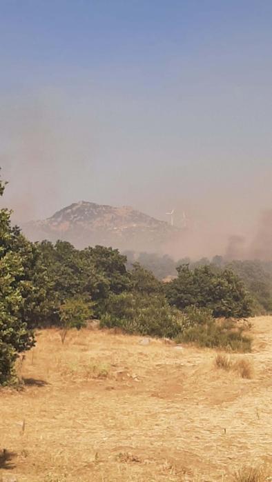 Çanakkalede tarım arazisinde çıkan yangın kontrol altında