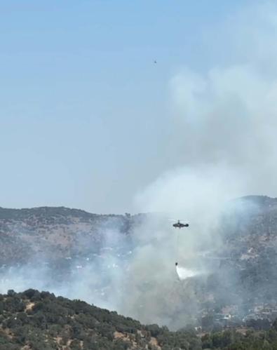 Muğlada tarım arazisindeki yangın kontrol altında