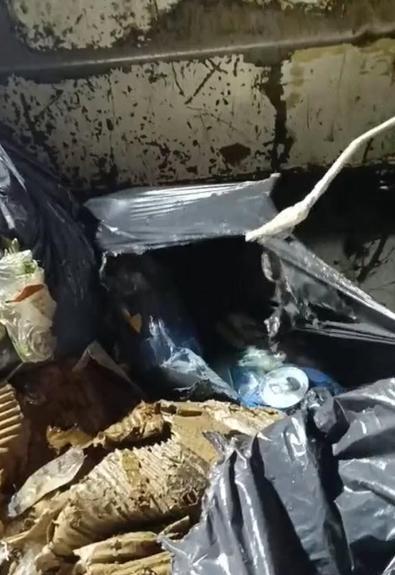 Konteyneri boşaltırken gördükleri ağzı bağlanmış poşetteki kediyi kurtardılar