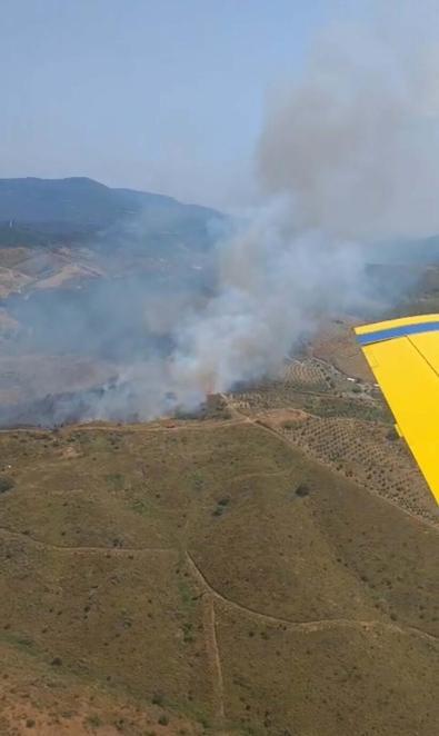 İzmir’de makilik yangını kontrol altında