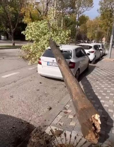 Bursada lodos etkili oldu; ağaçlar devrildi, çatılar uçtu