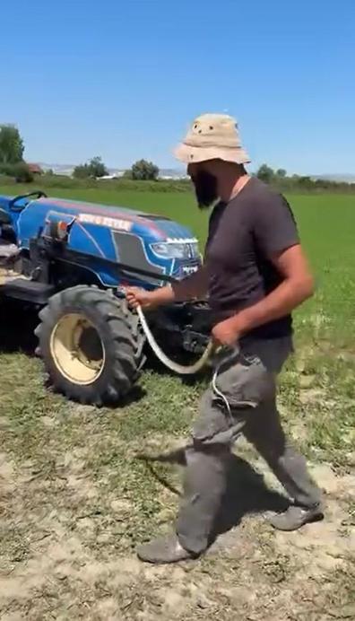 Tarlasını sürerken gördüğü yılanı zarar görmesin diye elleriyle yakalayıp güvenli bölgeye bıraktı