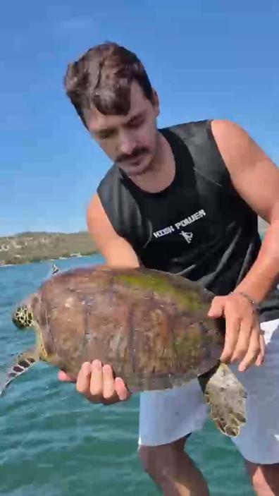 Milasta pet şişe bağlanmış caretta carettayı denize açılıp kurtardılar