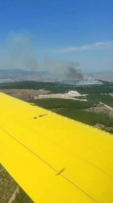 İzmir Bucada çıkan orman yangını kontrol altında