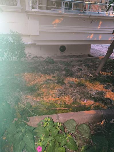 Kedisini yakalamaya çalışırken 5inci kattan düşüp, yaralandı