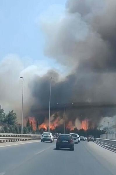 İzmir’de orman yangını